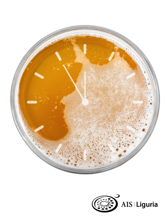 Diventa sommelier della birra - 1° livello   - 2024