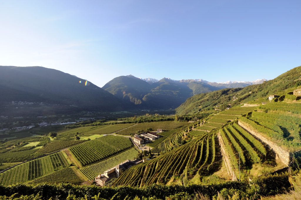 Vini di Valtellina Incontro e degustazione con Gianluca Macchi