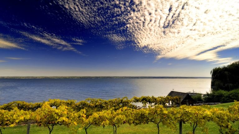 I Vini dei Finger Lakes con Roberto Anesi