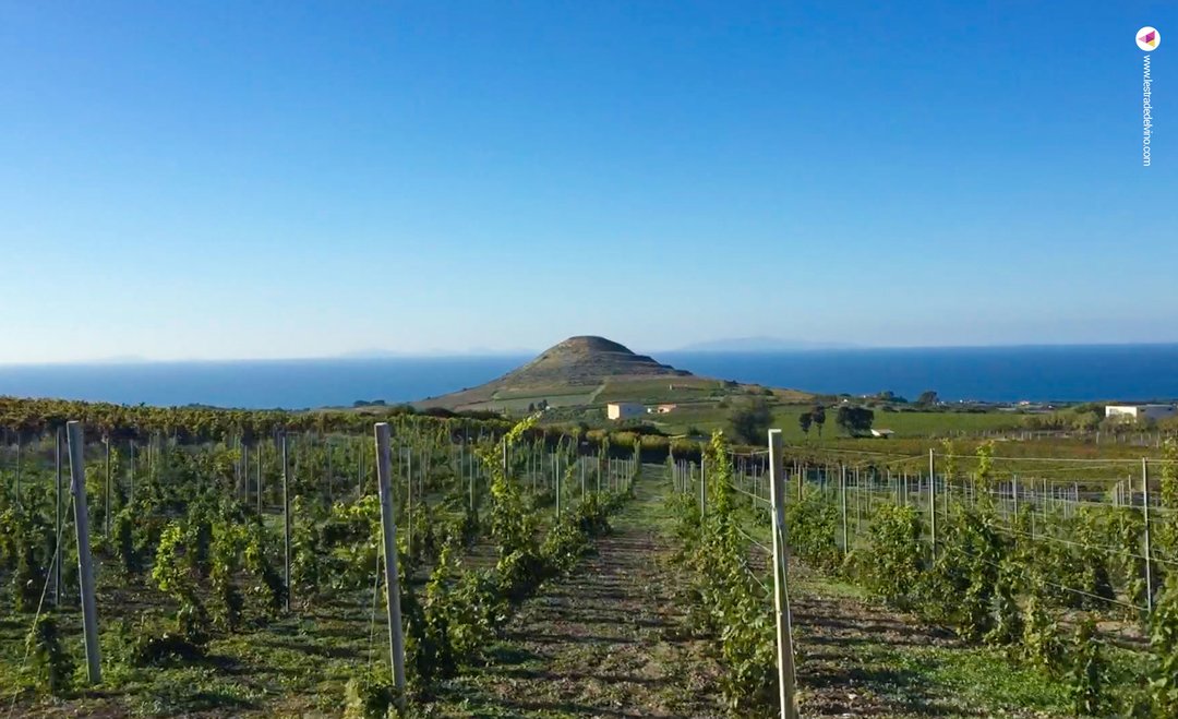 Sardinia Insula Vini