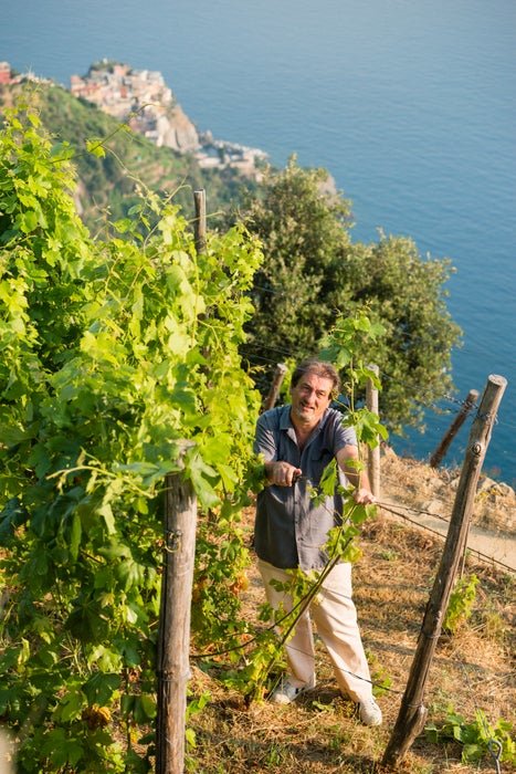 Visita studio con degustazione Azienda Agricola Luciano Capellini
