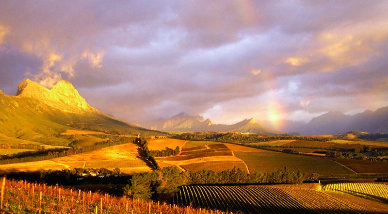 La meravigliosa terra dei Khoi e dei San. Una serata con i grandi vini del Sudafrica
