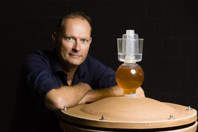 Le nuove frontiere del vino: vitigni resistenti e la viticoltura senza chimica