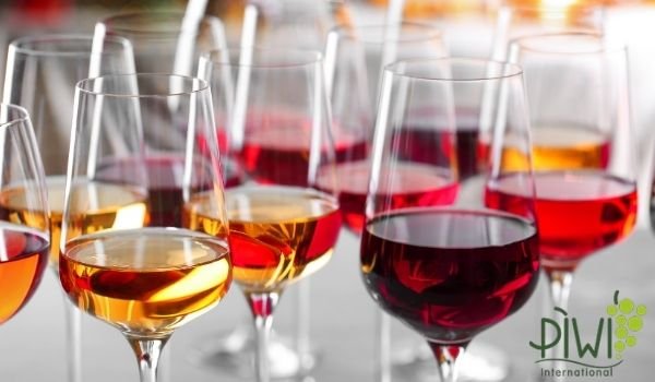 Le nuove frontiere del vino: vitigni resistenti e la viticoltura senza chimica