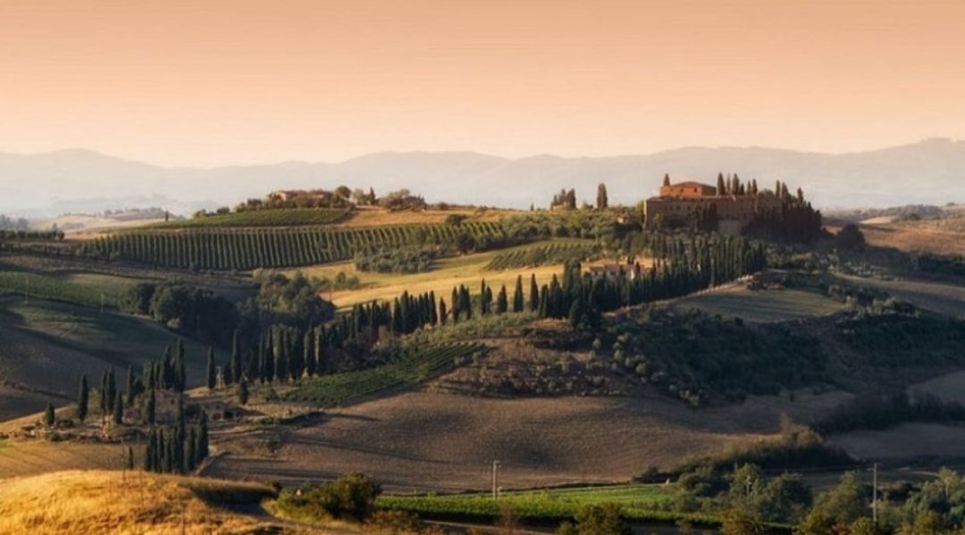 Il Brunello di Montalcino
