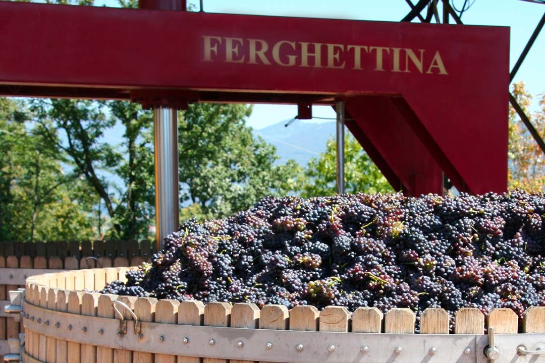 La terra e la vigna, il loro frutto e il nostro palato: la Liguria incontra la Franciacorta