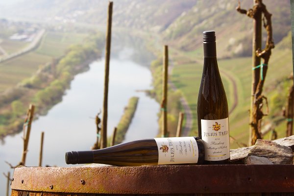 Le sfumature del Riesling Renano in Mosella