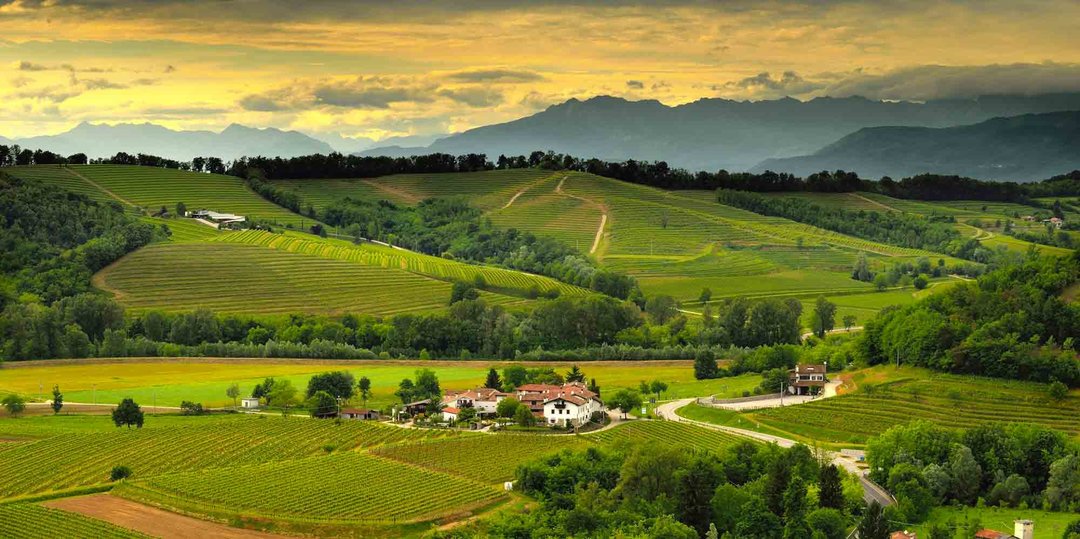 Alla scoperta dei Colli Orientali del Friuli!