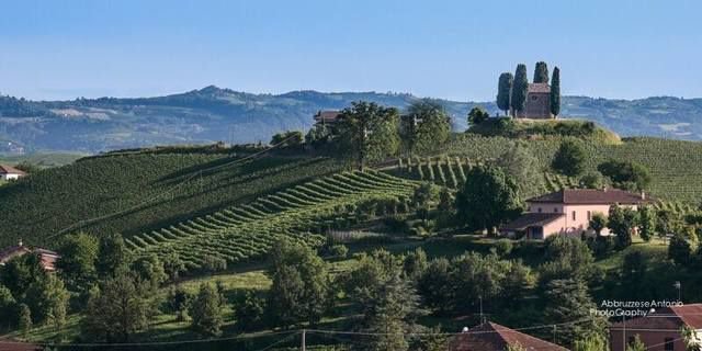 Seminario sul Nizza Docg