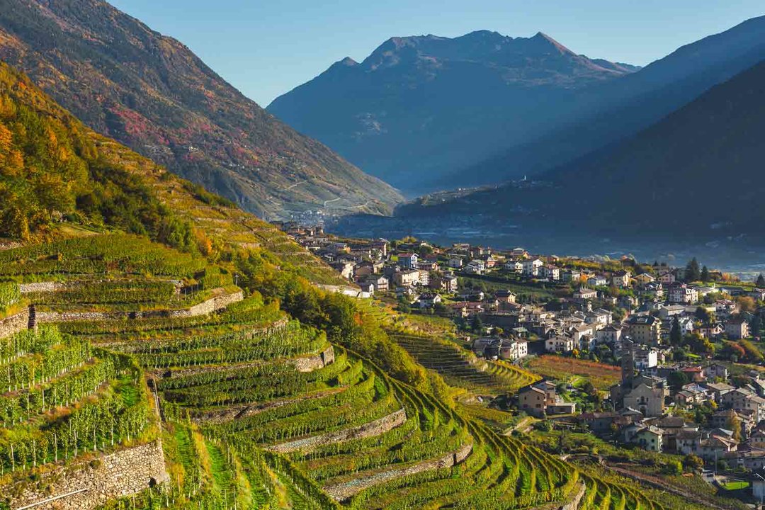 Viaggio studio in Valtellina