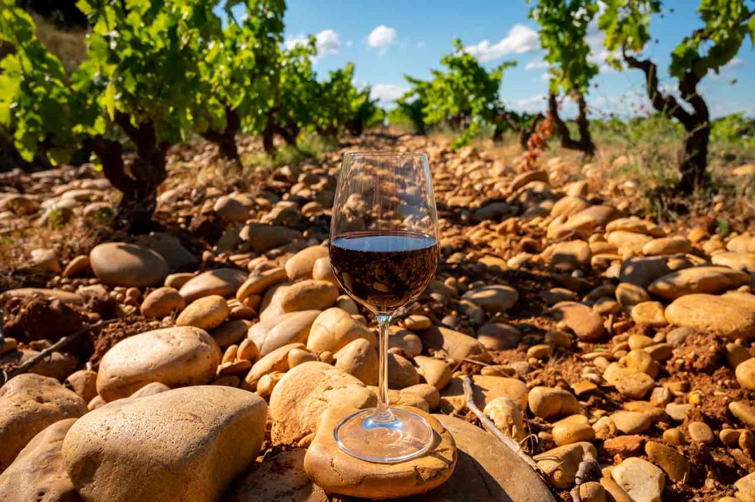 Il futuro del vino riparte dal suolo. Composizione, microbial terroir, il clima ed il vino.