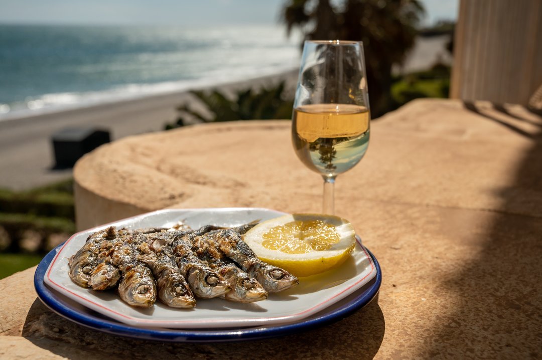 Serata Verdazzurro. Il Verdicchio in Riviera