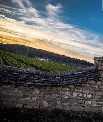 Una Borgogna fuori dai cliché  - Storie di grandezza lontano dalla Côte d’Or   Incontro e degustazione con Samuel Cogliati Gorlier