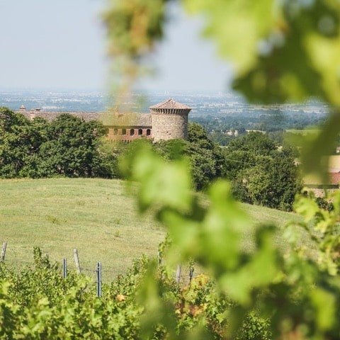 Ma che bel castello…! Visita e degustazione in dimora storica