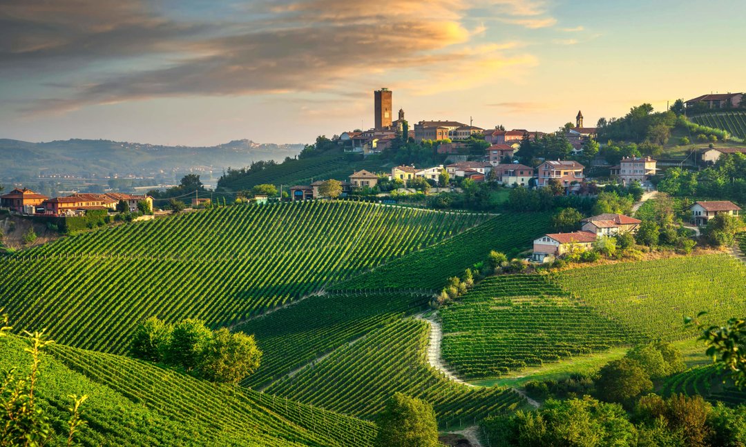 Viaggio studio in Langa: Barolo e Barbaresco