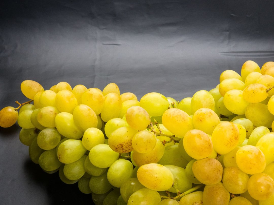 Sauvignon blanc: i terroir italiani di un vitigno camaleonte - Incontro e degustazione con Massimo Castellani