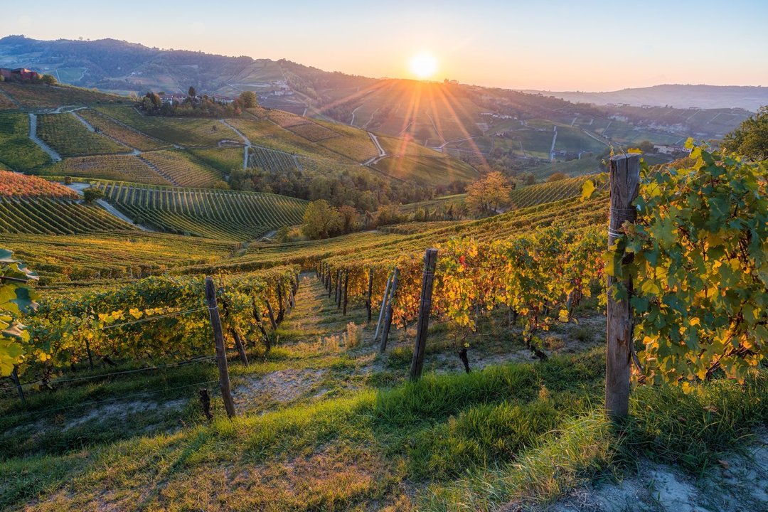 Viaggio studio nel Monferrato: la Barbera d’Asti