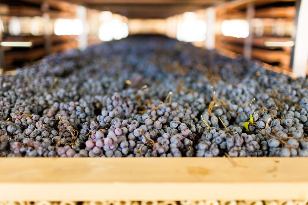 I grandi rossi da appassimento - 1.1 L’AMARONE