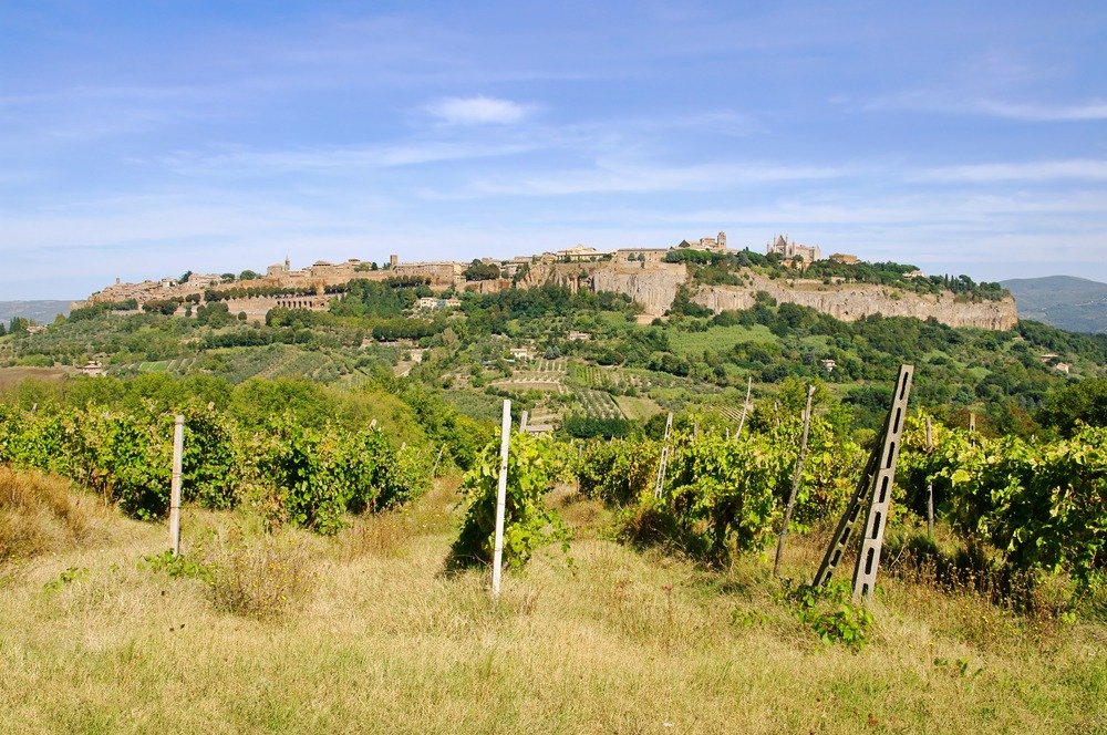 Orvieto, pluralità di suoli e di espressioni: Masterclass con Gianluca Grimani e Maurizio Dante Filippi