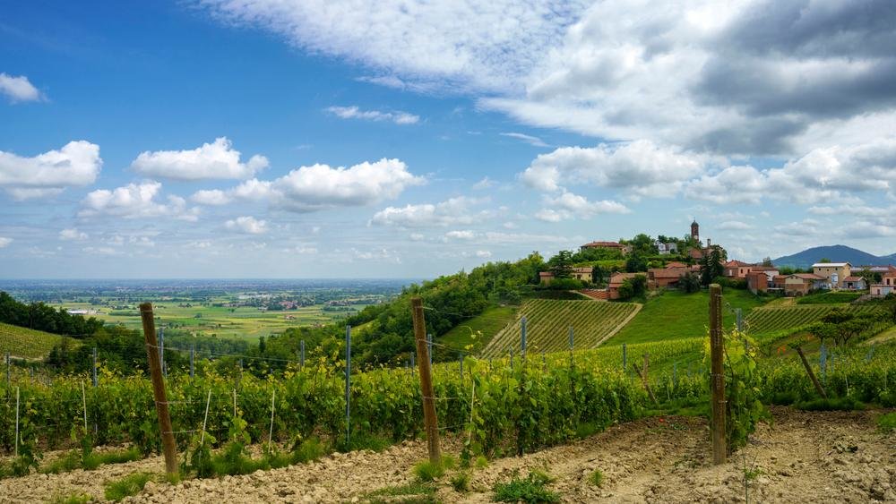 Vigneti Massa: i vini, il territorio, il vignaiolo. Cena e degustazione con Walter Massa