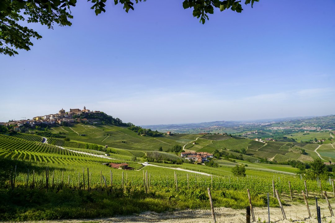 Masterclass “il Barolo di La Morra”, in compagnia di Mauro Carosso