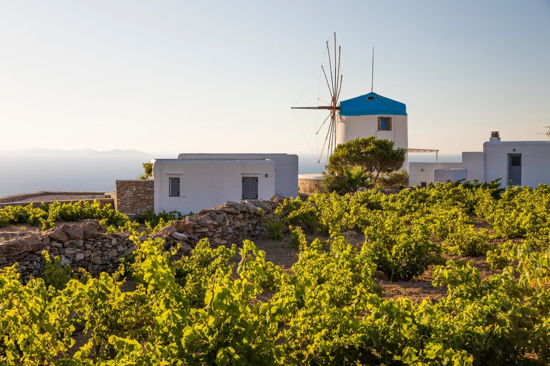 Grecia e Cipro, alla scoperta del nettare degli Dei – con Guido Invernizzi