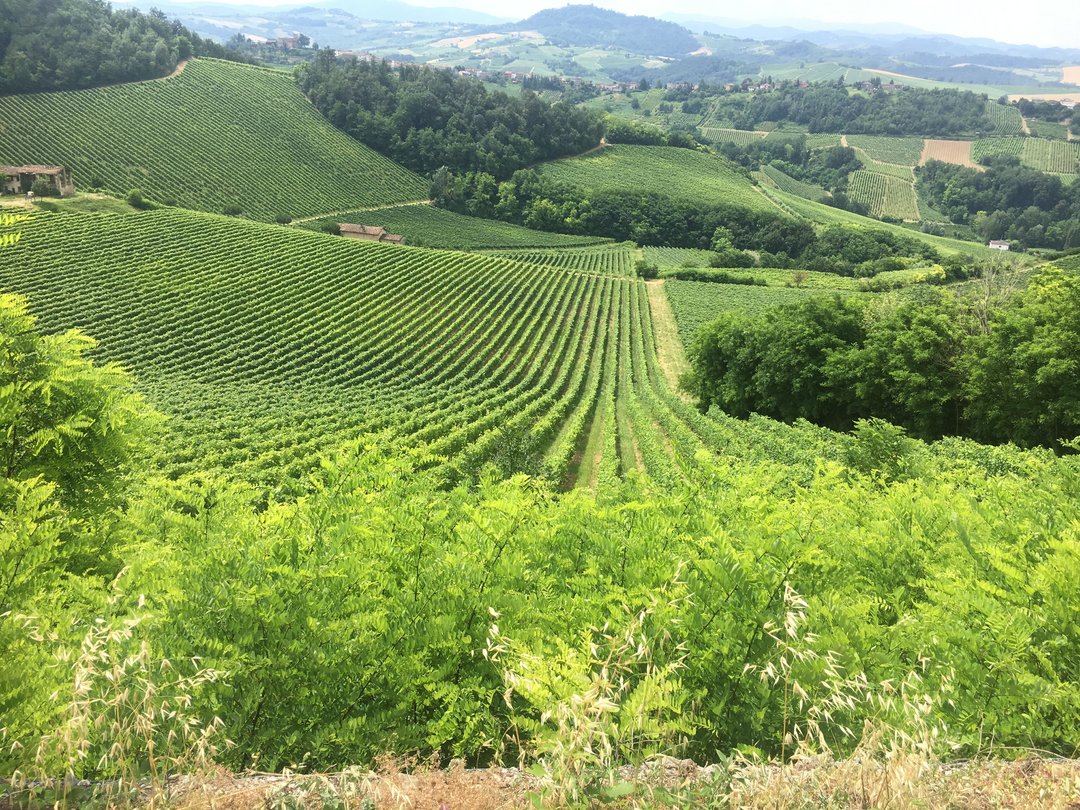 Storia e nobiltà in Oltrepò