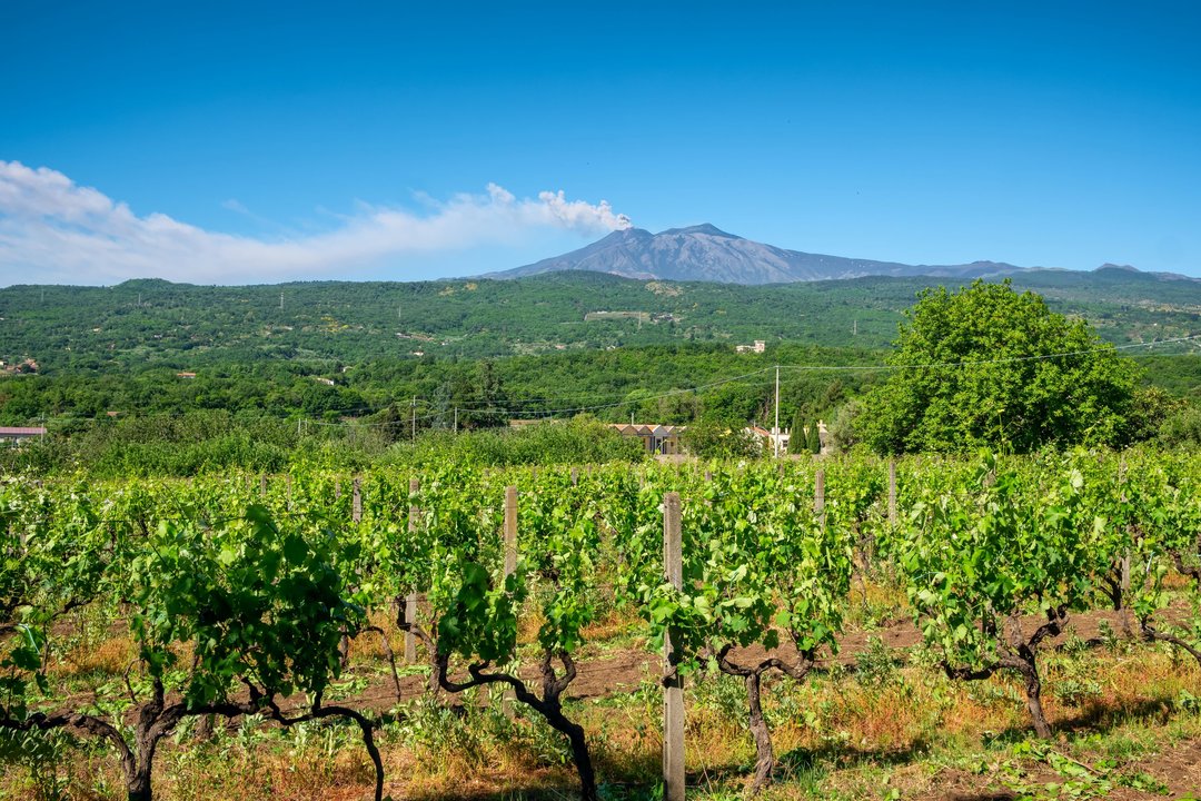 L’Etna e la Sicilia Gourmet - Eccellenze enogastronomiche in abbinamento.