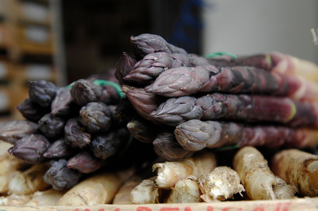 Tra Vigna e Tavola con la famiglia Alessandri