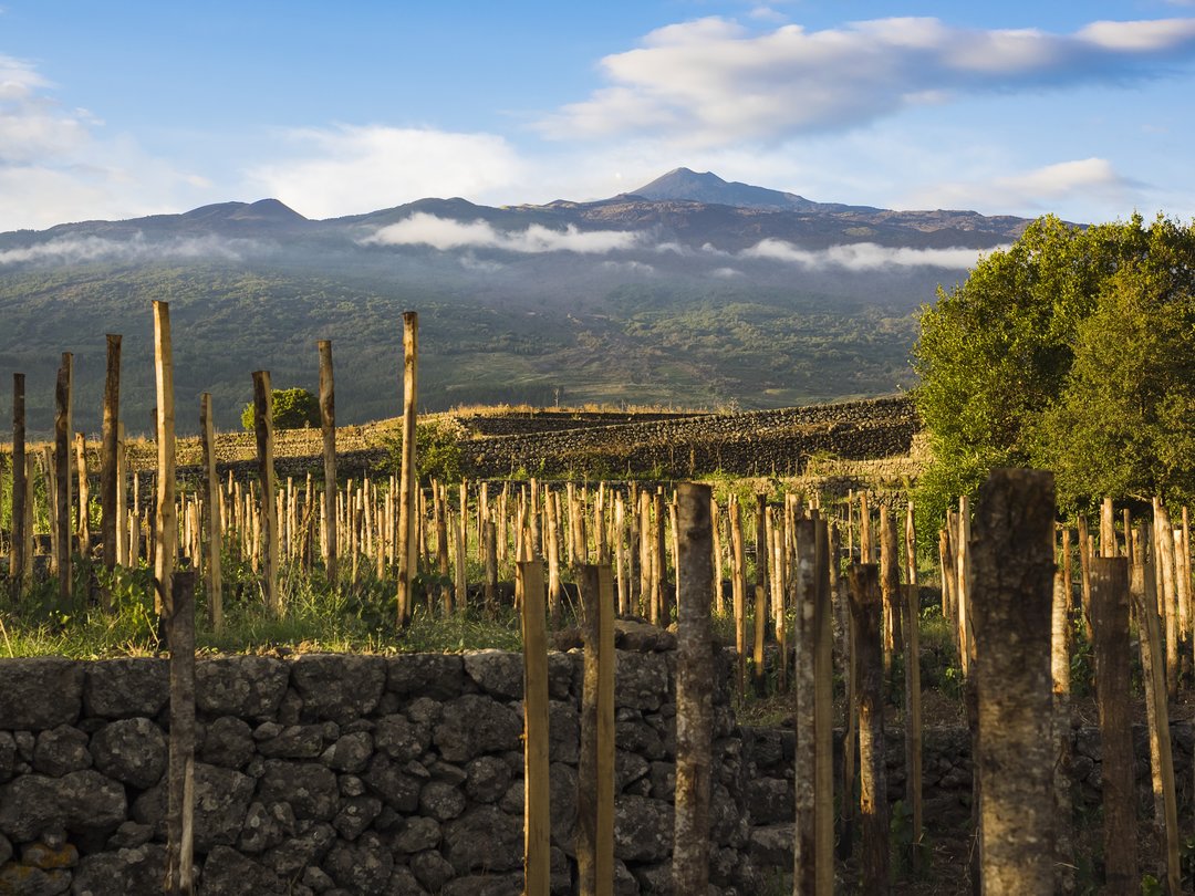 Mare Mosto 2026  Vini Etna Doc - i versanti del vulcano e le sue contrade