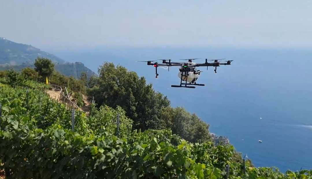 Mare Mosto 2026 ​​​​​​​Oltre il pendio: droni e viticoltura estrema 