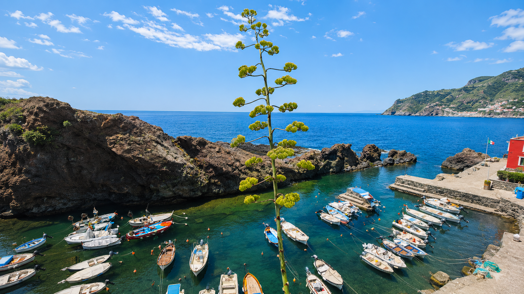La mia Liguria nel calice…a casa mia!