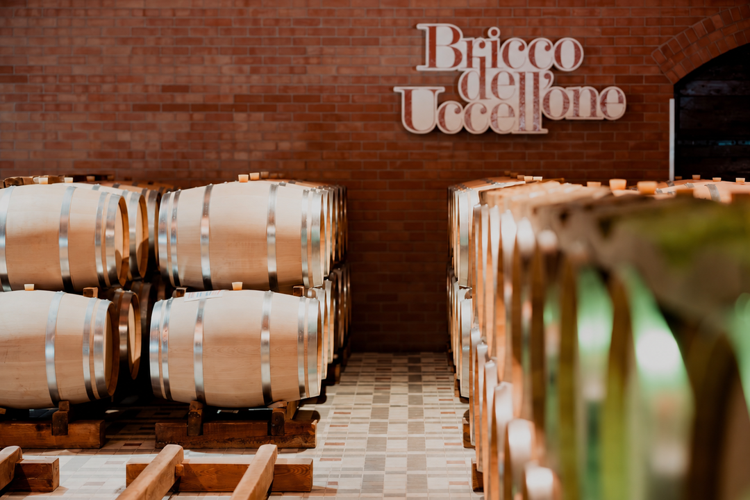 Le radici di Braida: Grignolino e Barbera.