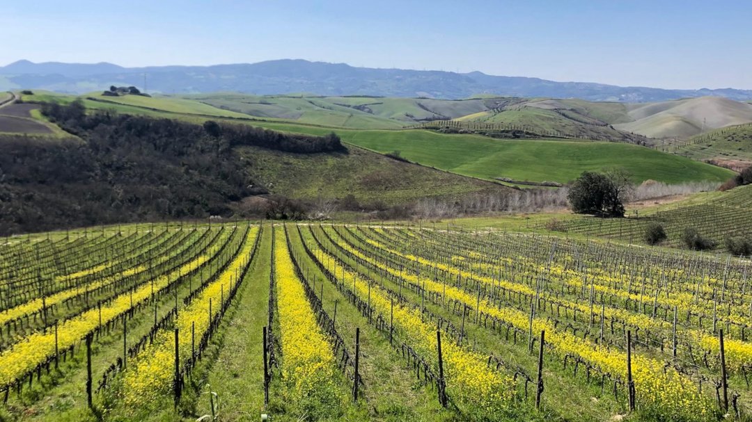 Il Tigullio incontra… Terre di Pisa: Pieve de Pitti
