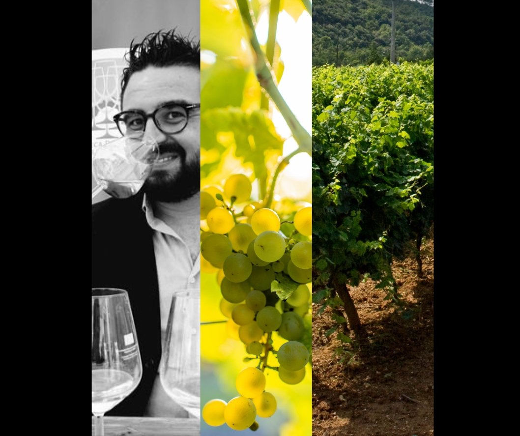 Masterclass Mare Mosto 2025 domenica 25 maggio 2025