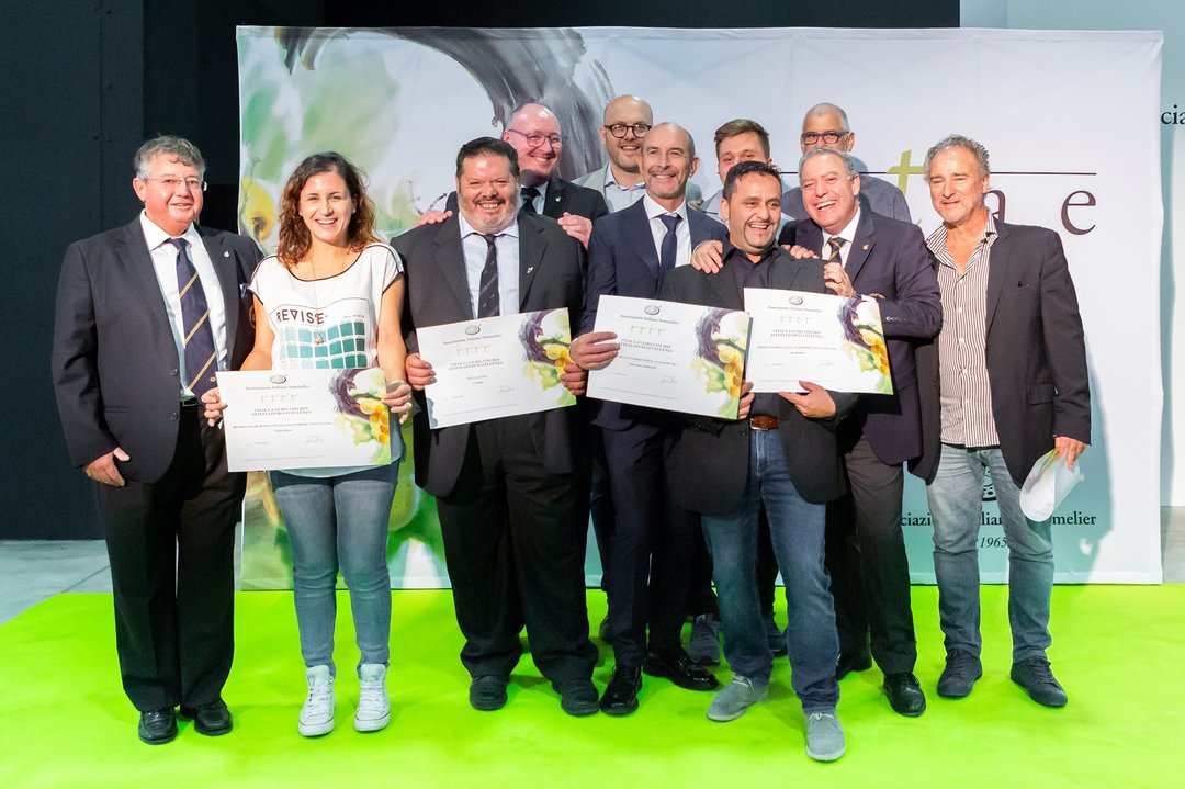 Guida AIS – Vitae 2019