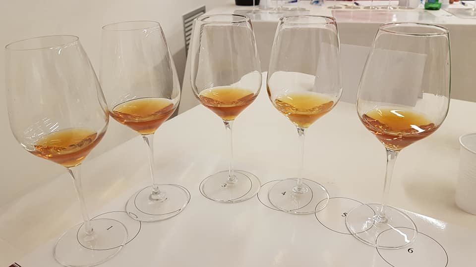Lo scintillante mondo dei Sauternes
