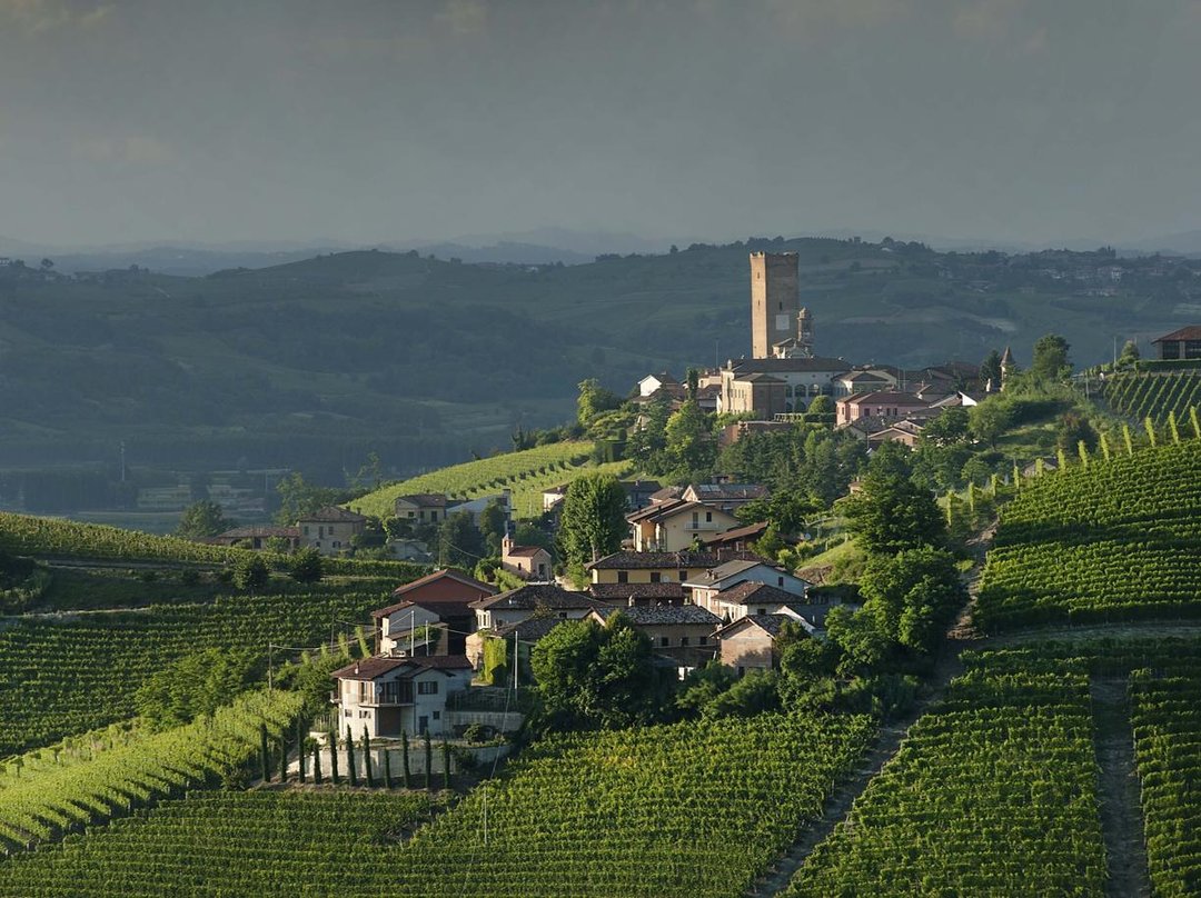 Barbaresco. La storia, i terreni, i vini