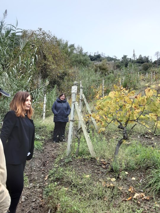 A MIO PADRE  - Visita studio a LA CANTINA LEVANTESE