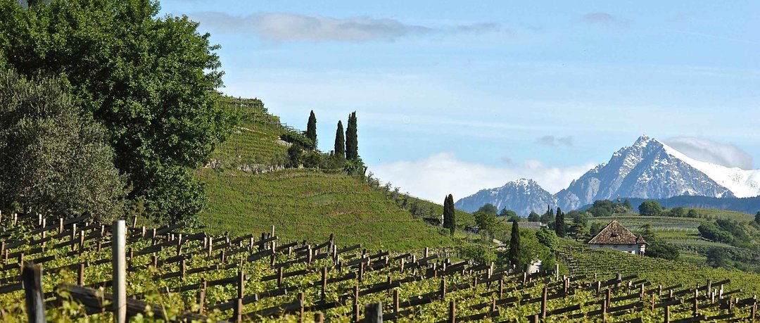 METTI UNA SERA A CENA… INCONTRO CON L’AZ. LAGEDER