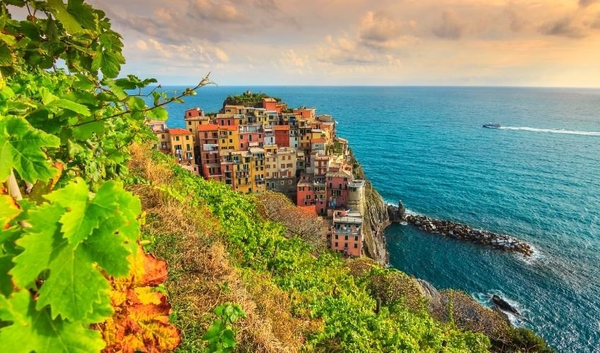 Vini liguri, dal Levante al Ponente