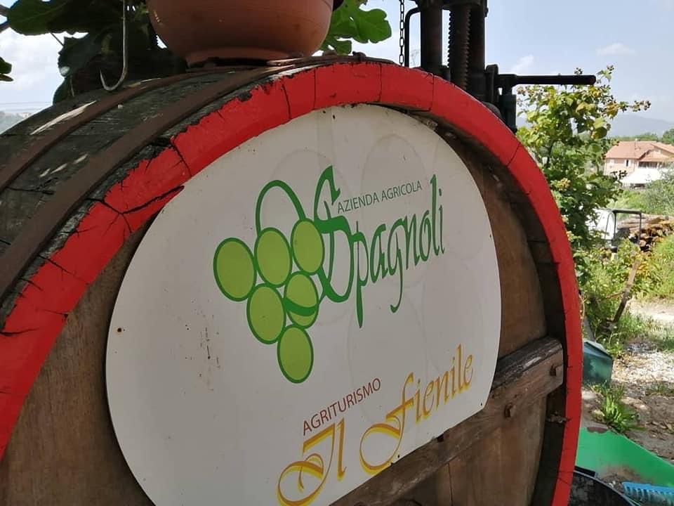 Un pomeriggio a Masignano d’Arcola: Azienda agricola Spagnoli