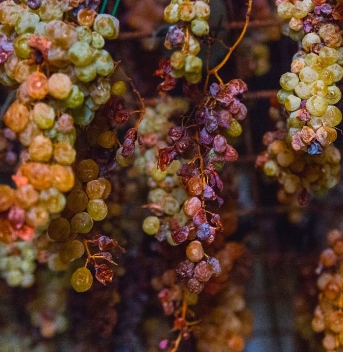 Sciacchetrà: il vino passito dei viticoltori eroici delle Cinque Terre