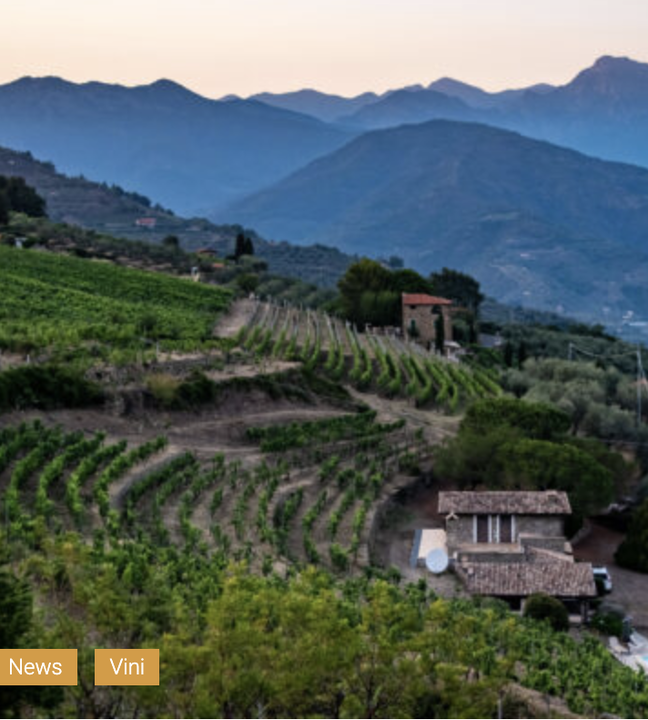 <p>II edizione del Trofeo Miglior Sommelier del Dolceacqua</p>