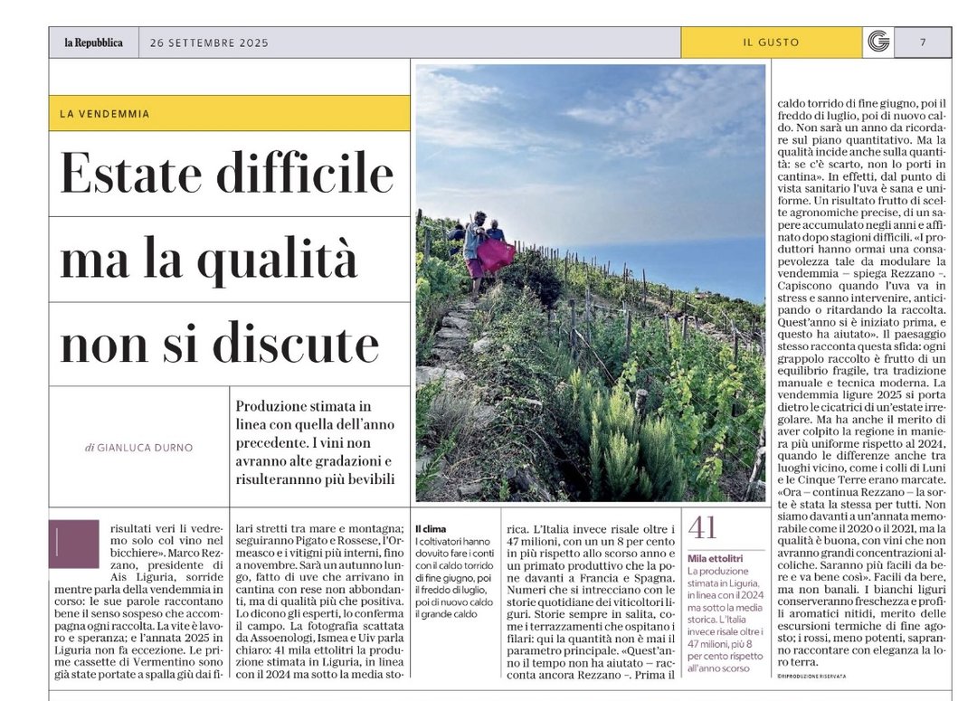 <p>Estate difficile ma la qualità non si discute</p>