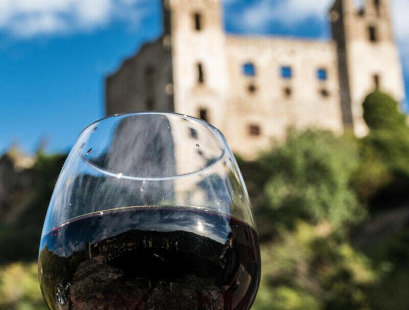 <p>"Esperienze di Vitae 2026", i vini dell'Imperiese protagonisti a Rapallo</p>