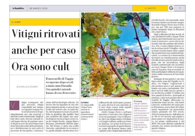 <p>Vitigni ritrovati anche per caso. Ora sono cult</p>