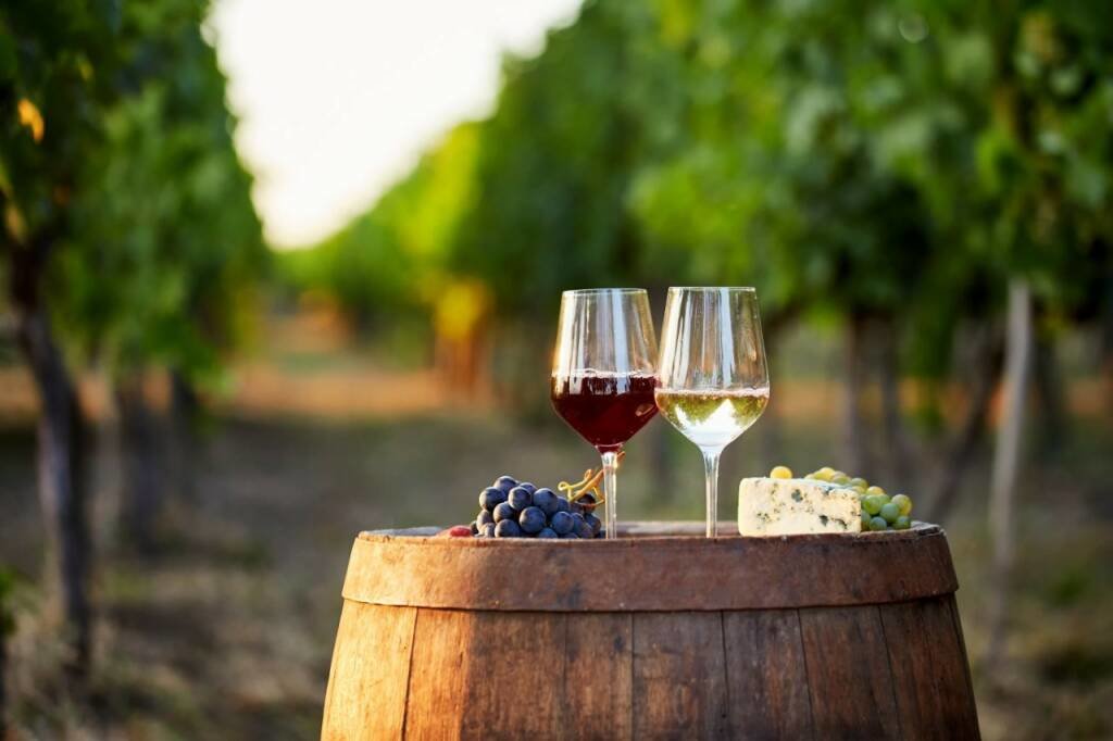<p>Giugno in cantina la nuova iniziativa di Vite in Riviera: i luoghi del vino aperti tutto il mese</p>