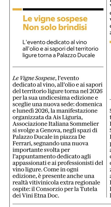 <p>Le vigne sospese. Non solo brindisi</p>
