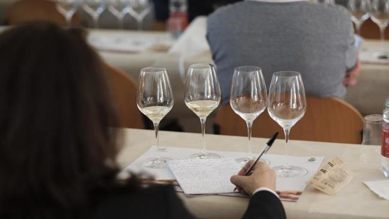 <p>Mare & Mosto: al Ducale una due giorni per gustare vino, olio e sapori di Liguria</p>